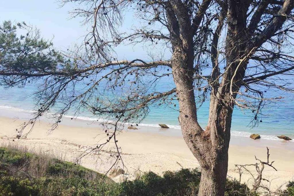 Apartmán Casita Del Mar A Pie De Playa Tarifa Exteriér fotografie